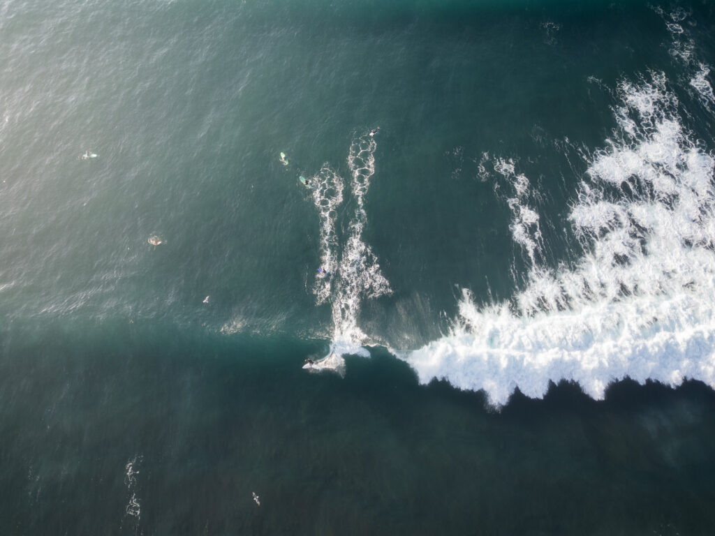 surf 4