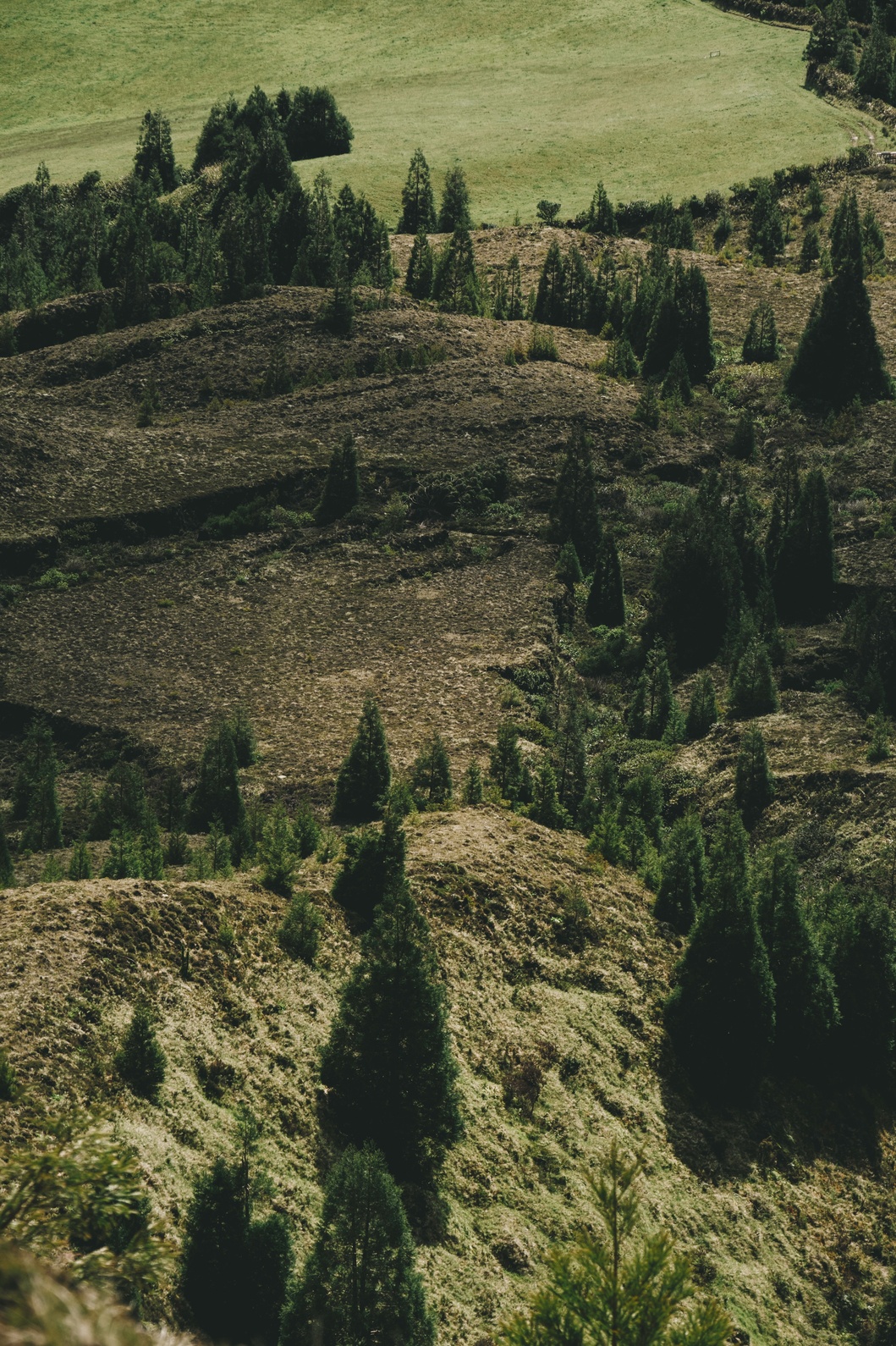 The lesser-known and most surprising trails of São Miguel