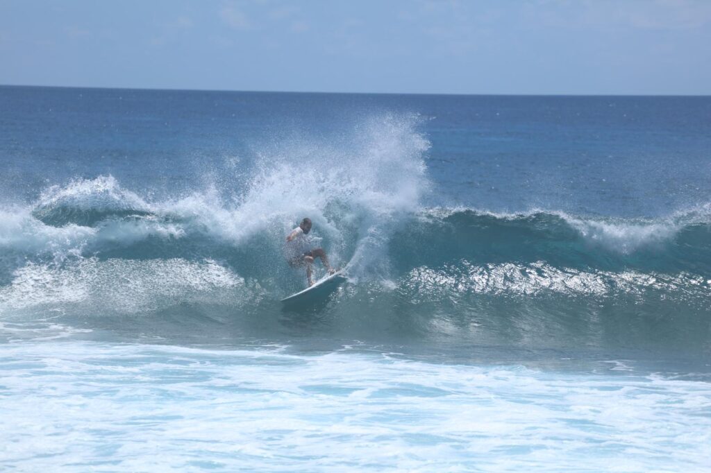 Surf Sargo São Miguel